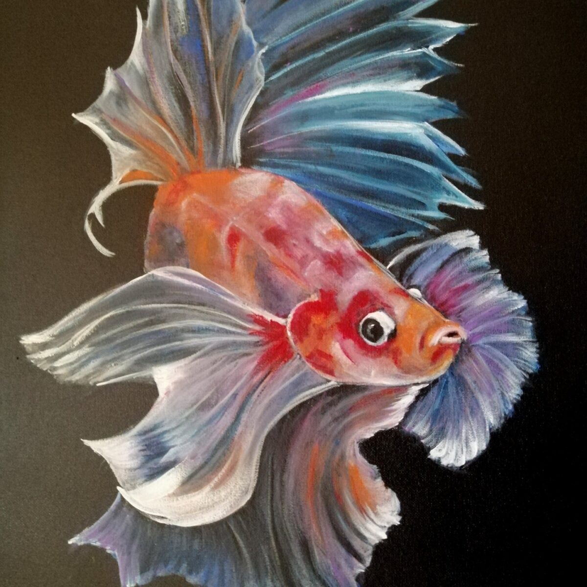 Betta fish